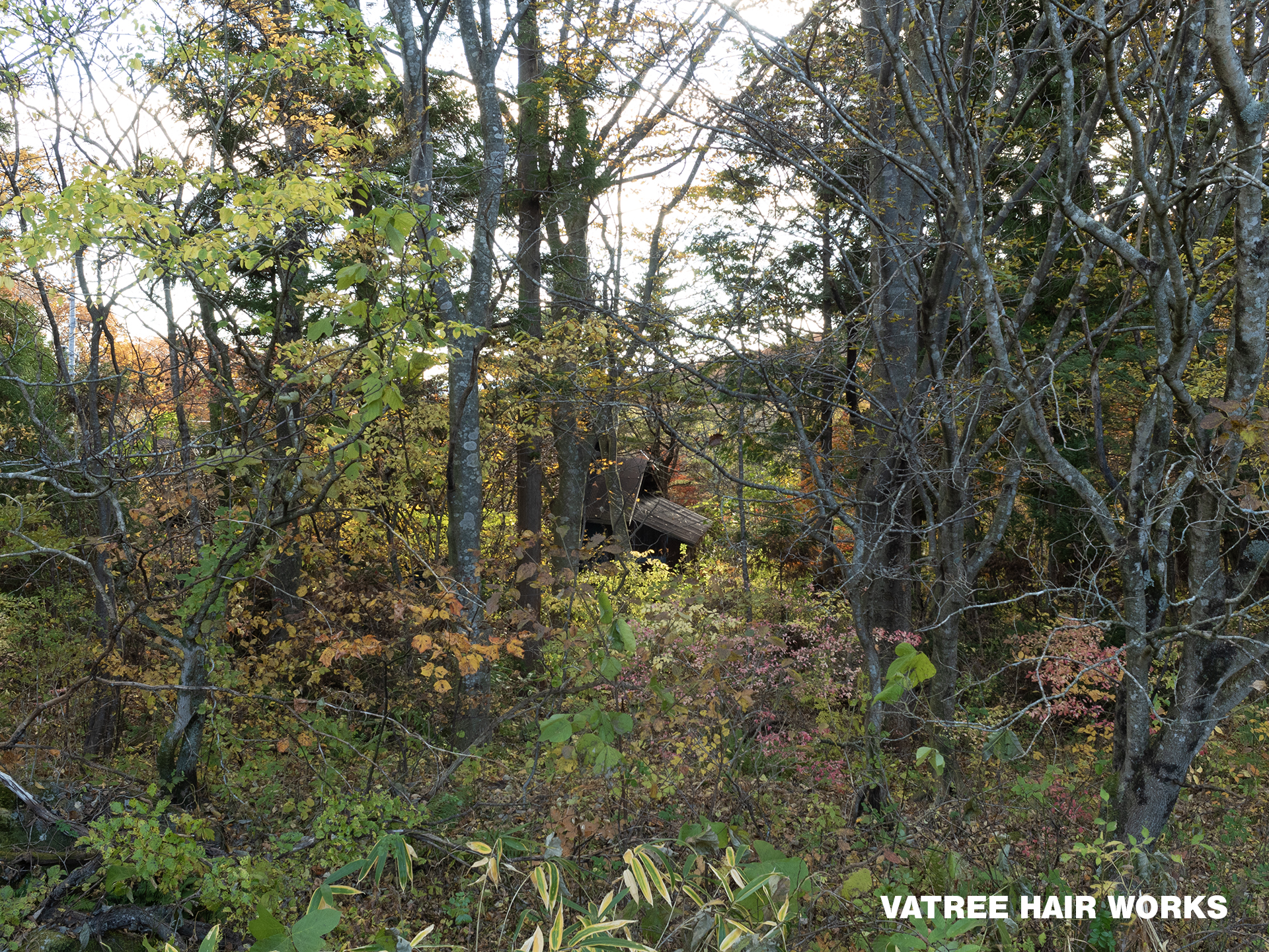 落ち着いた雰囲気をイメージした自然風景 メンズも通いやすい空間イメージ