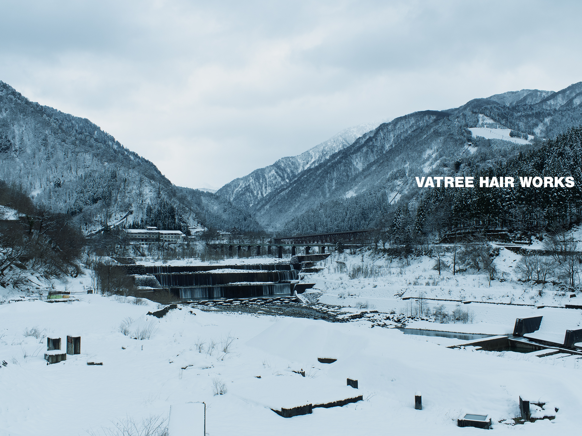 自然を感じる落ち着いた風景イメージ