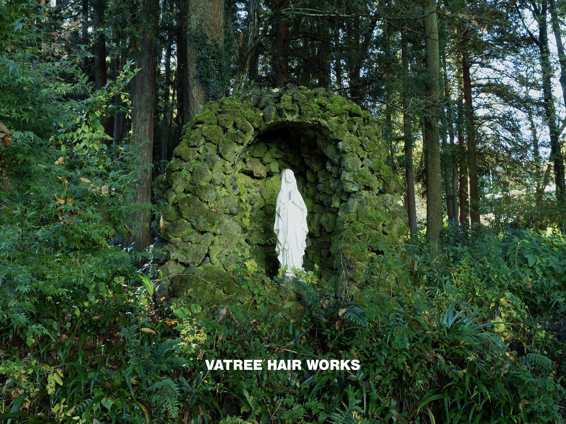 VATREEの空間イメージ 落ち着いた雰囲気のインテリア