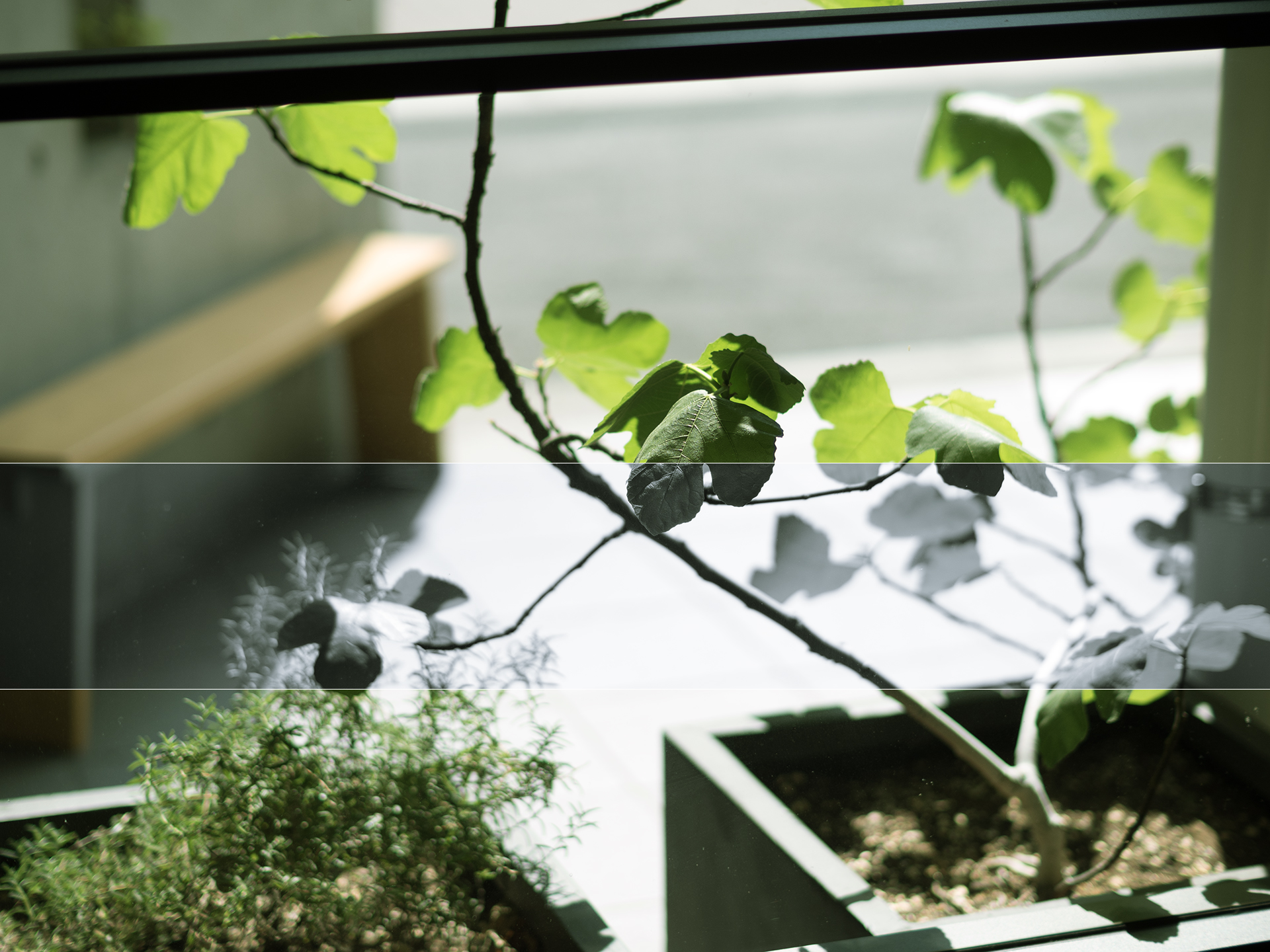 店内から見える外の植物とベンチの風景